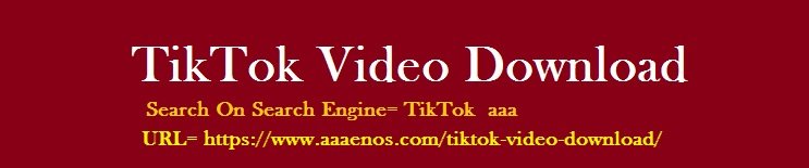 Tik Tok video download